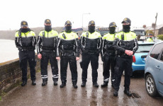 Commissioner 'appalled' as gardaí who policed protests are doxxed and threatened online