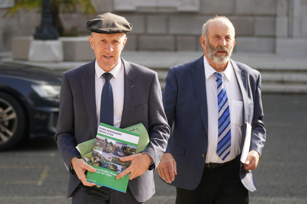Danny Healy-Rae says he had no 'influence' on his brother Michael's resignation from Government