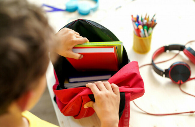 Government announces 45 new special classes for coming school year