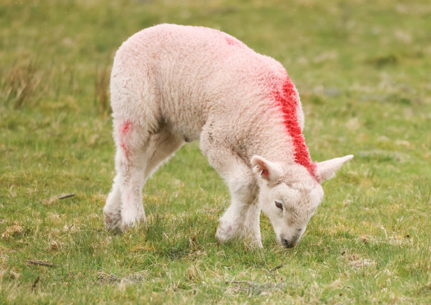 Here's what happened today: Thursday