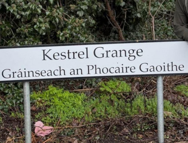 Late intervention by SF Economy Minister saves NI Placenames Project after day of arguments