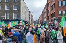 Traffic disruption in Dublin city centre as protesters march with tricolours
