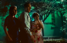 Poll: What did you make of the new Cape Fear remake?