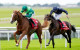 Benvenuto Cellini rewards Moore’s faith in Irish Derby