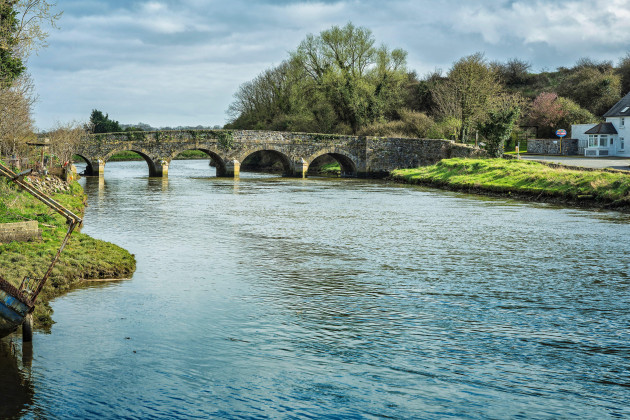 Over 20,000 fish thought to be dead in 'significant kill' in Co Louth
