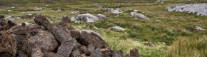 EU to take Ireland to court over 'significant' peat cutting activity still taking place