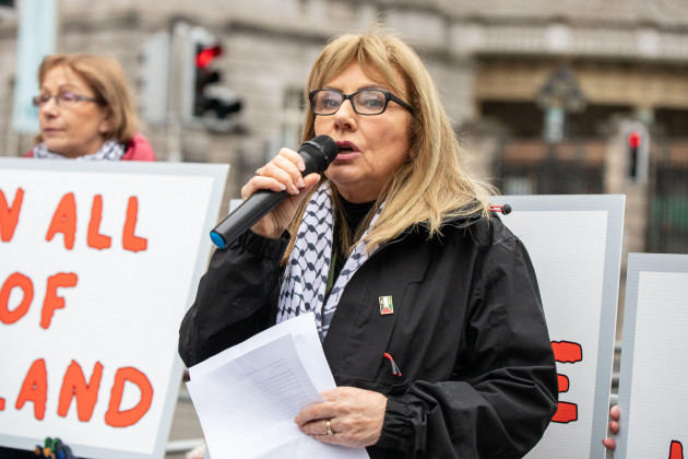 Senator has a Bill 'ready to go' to implement ban on services with Israeli settlements