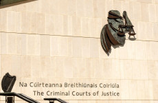 Garda acquitted of raping wife, convicted of child cruelty against two daughters