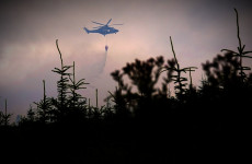 Could nature itself help stop Ireland's wildfires?
