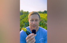 Veg grower ‘bowled over by support’ after ‘drastic decline’ in orders during hot spell