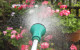 Hosepipe ban to be extended nationwide from Friday