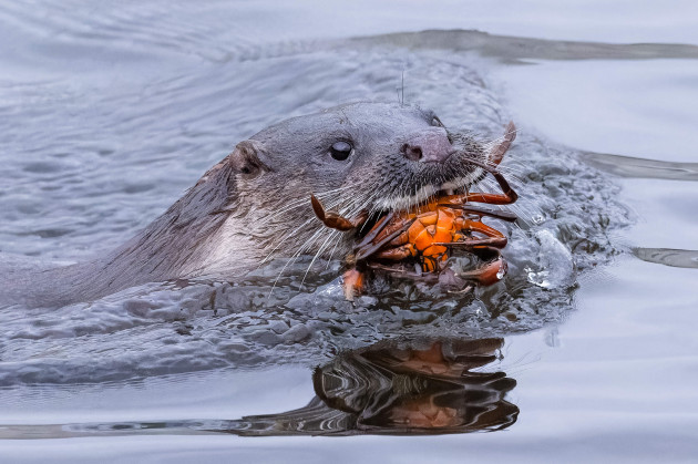 Photographers behind pictures of Ireland's coast and waterways honoured in Dublin