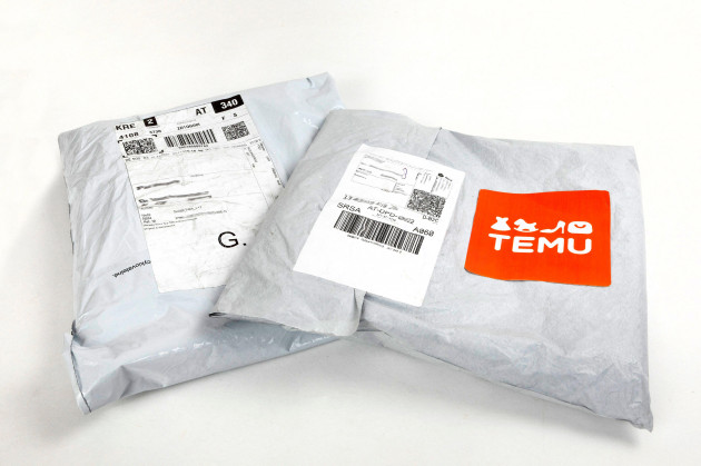 Temu hindered inspection at premises in Dublin, EU says