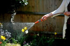 Uisce Éireann urges public not to use garden hose during hot weather
