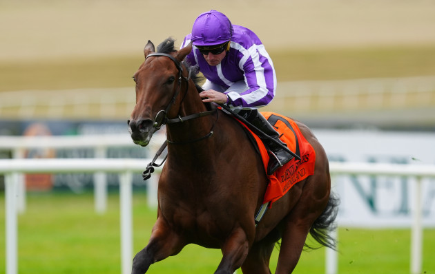 Aidan O'Brien's ‘exciting’ Sun Goddess comes from last to first to win Phoenix Stakes