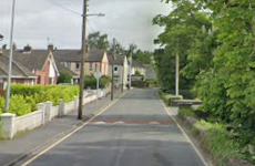 Cyclist in her 80s dies after being hit by truck in Co Kildare