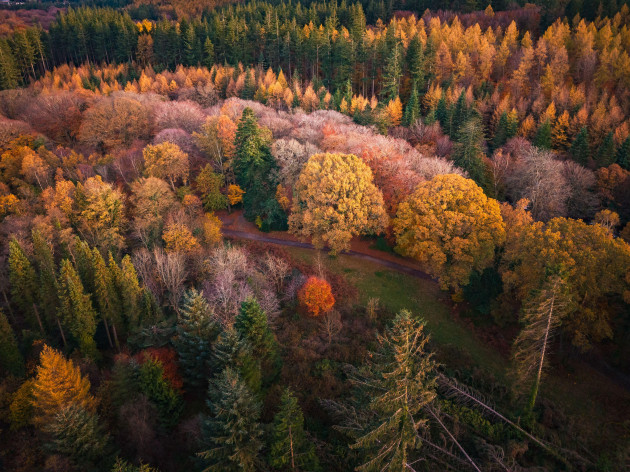 Quiz: How much do you know about October?