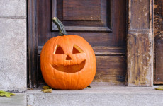 Will you carve a pumpkin for Halloween?